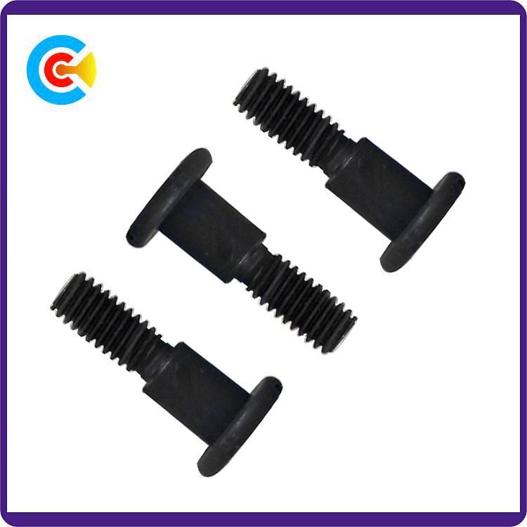 DIN/ANSI/BS/JIS Carbon-Steel/Stainless-Steel M5 Round Flat Non-Standard Head Screws for Building
