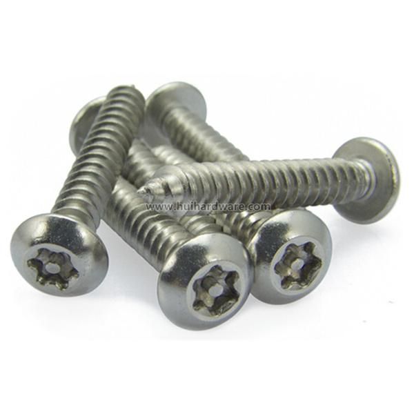 Stainless Steel 304 Torx Head Self-Tapping Security Screws