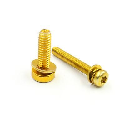 Factory M2 M3 M4 M5 M6 Brass Pan Head Machine Screw with Washer