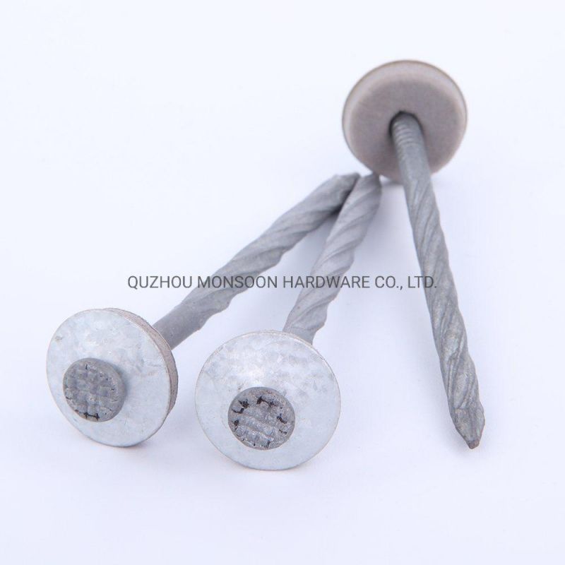Umbrella Head Hot Dipped Roofing Nails with Washers