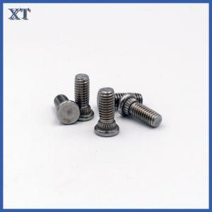 Stainless Steel Flat Head Knurled Neck Bolts