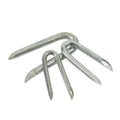 3/4 in-2 in Electric Galvanized U Fence Staple/U Type Nail