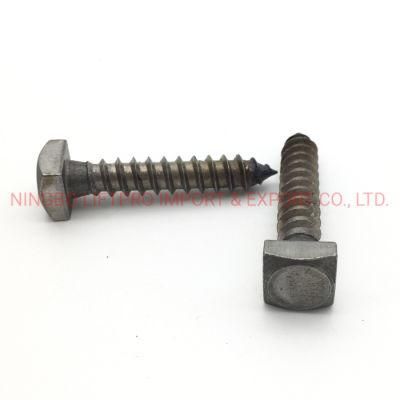 Square Head Carbon Steel Plain Lag Bolt Coach Screw