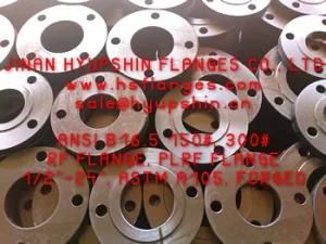 ANSI B16.5 Plate Flanges, Cl150 Plrf Plff Flanges, Carbon Steel Pipe Flanges