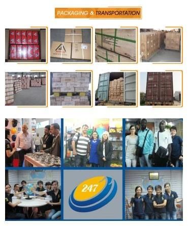 China Common Wire Nail Supply Made in China