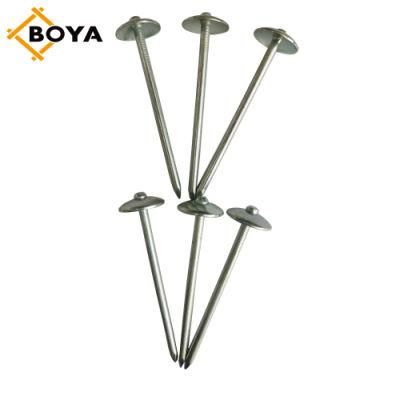 South America Umbrella Head Roofing Nails/Corrugated Nails Galvanized Twisted Shank From Tianjin