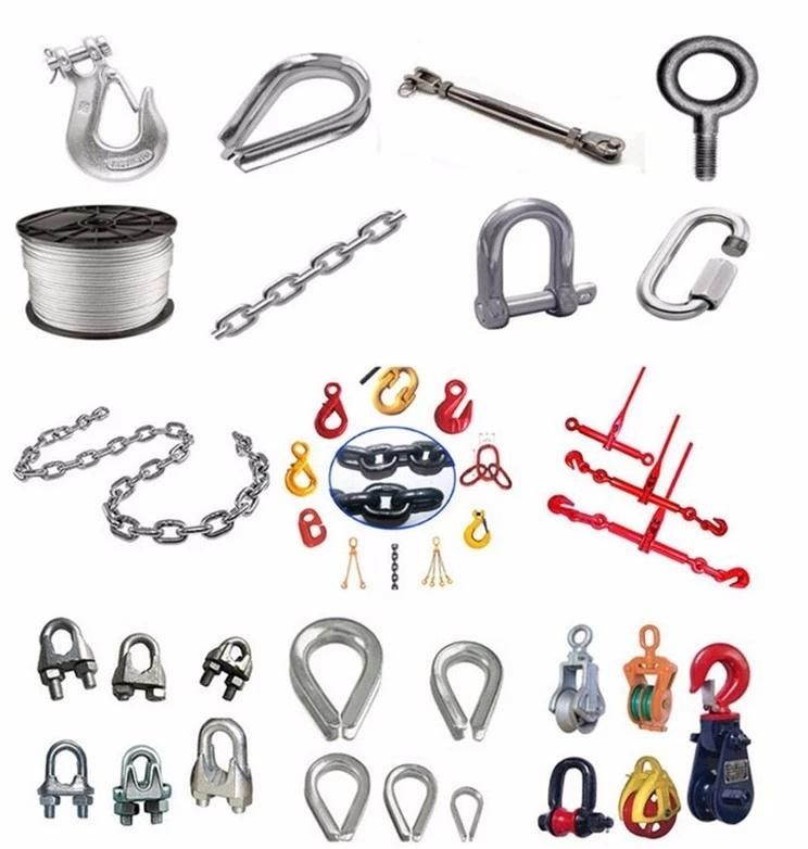 DIN580 Drop Forged Eye Bolts