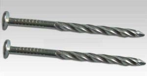 China Made Galvanized Common Steel Nails