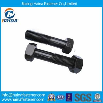 Black Hex Bolt and Nut
