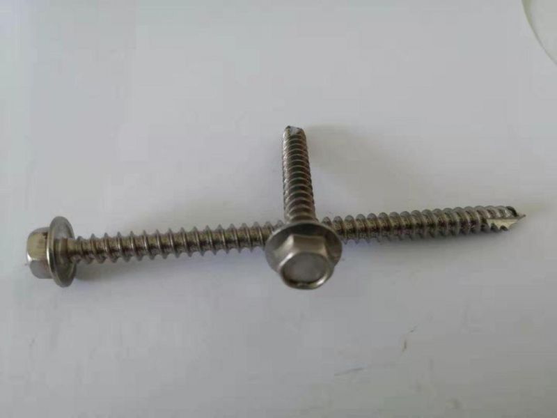 Stainless Steel 316 Hex Indent Flange Self Tapping Screw Type 17 (hardware & fasteners)