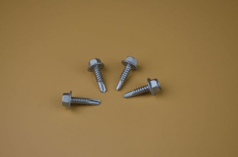 Special Screw/Screw/Fastener/Bolts