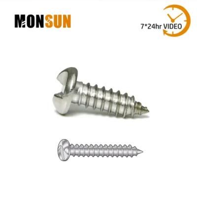 One-Way Truss Pan Head Security Self-Tapping Screw for Sheet Metal