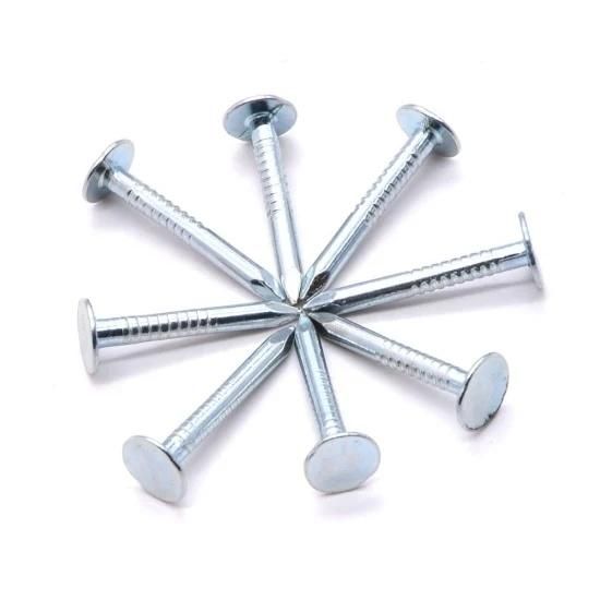 Hot Dipped Galvanized Clout Head Nail