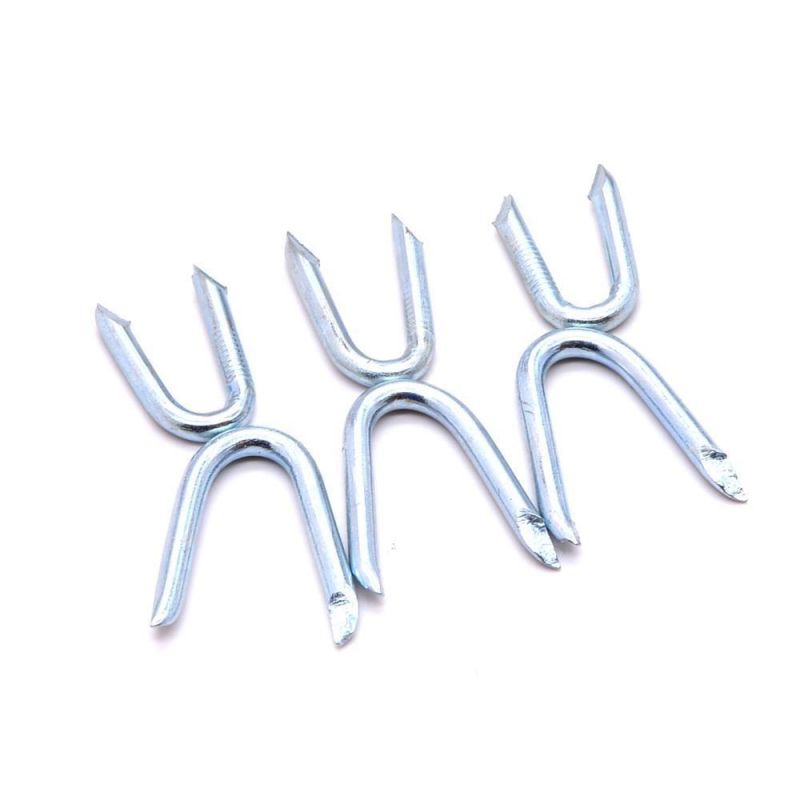 Thailand Laos Vietnam Philippines Singapore Market/Galvanized U Shape Nails/ U Staples