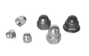 Low Carbon Steel Zinc Plated DIN1587 Hex Domed Cap Nut (CH-NUT-021)