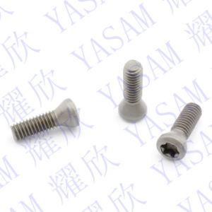 M3.0X6 M3.0X7 M3.0X8 M3.0X10 Torx Screws for Carbide Inserts