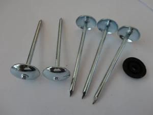 Electrial Galvanized Plain Roofing Nails