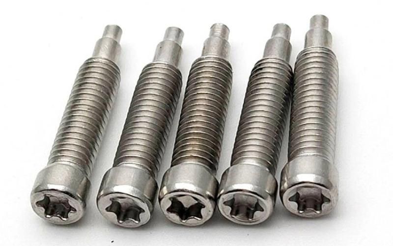 Special 304 Stainless Steel Cup Cap Socket Machine Torx Screw