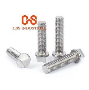 Custom Made Stainless Steel Triangle Head Anti-Theft Screw