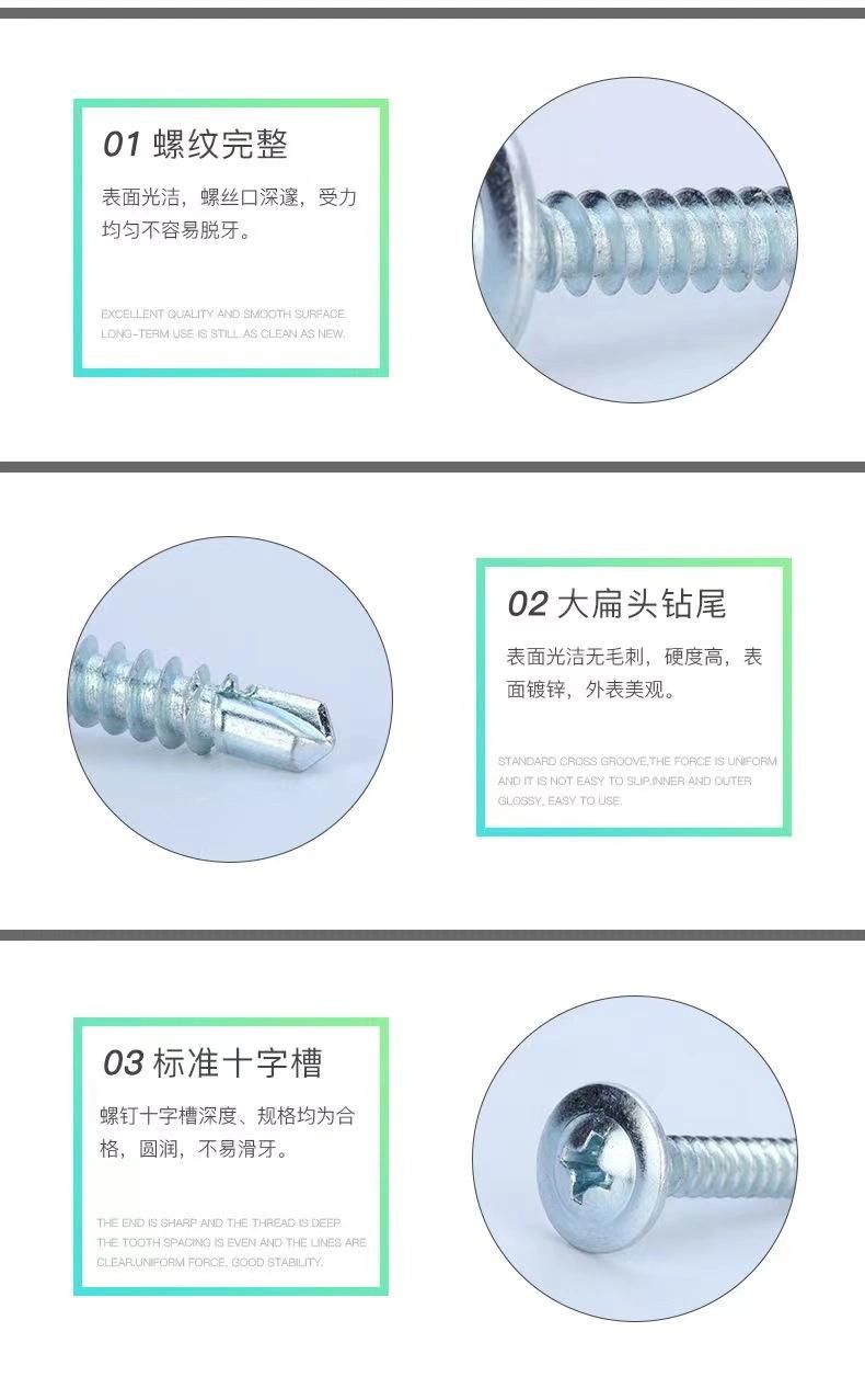 Many Kinds of Screw/Drywall Screw/ Self Tapping Screw/ Dovetail Screw/ Yellow Zin/White Zin