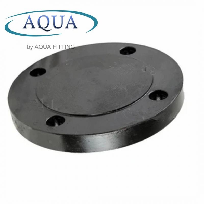 ANSI/DIN/En1092-1 Forged Carbon Plate RF/FF Pipe Flanges