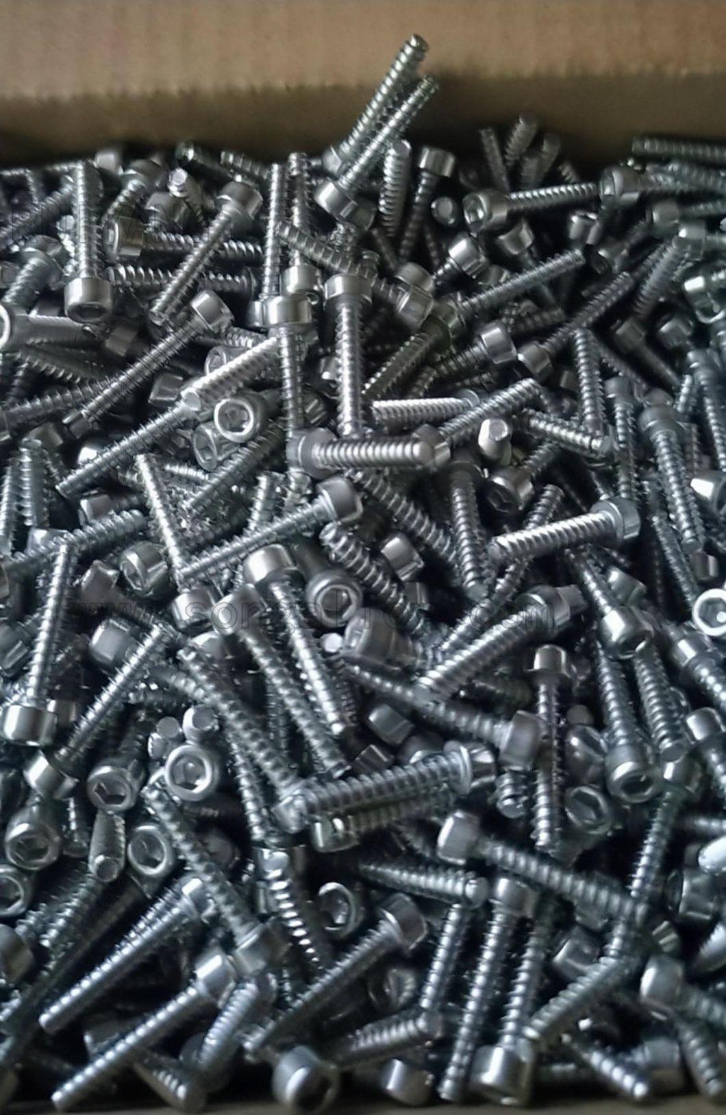 Stainless Steel Hexagon Socket Self Tapping Screw