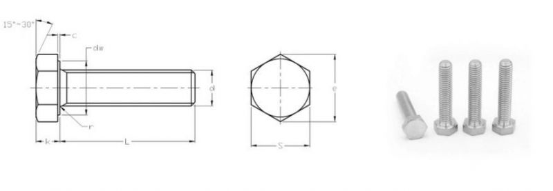 Stainless Steel Hexagon Head Bolt-Full Thread in Stainless Steel Fastener