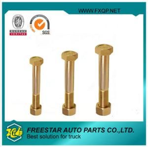 Top Grade Auto Fasteners Certified Supplier Bolts for Trailer