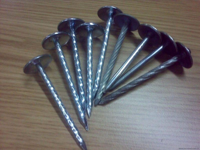 Umbrella Head Twisted Shank Roofing Nail