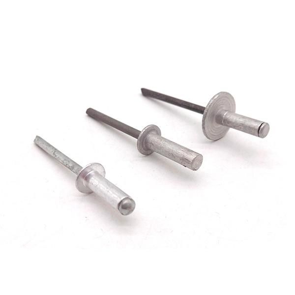 Customized Carbon Steel / Steel Closed End Blind Rivets