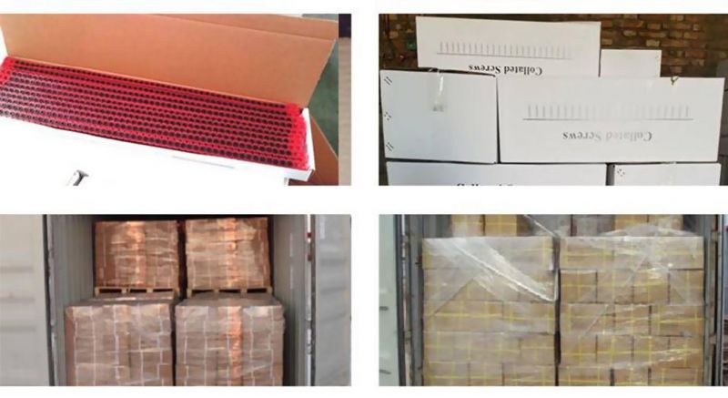 Collated Drywall Screw, Plastic Strip Collated Gypsum Board Screw