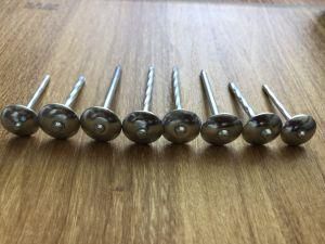 China Twisted Roofing Nails with Washer