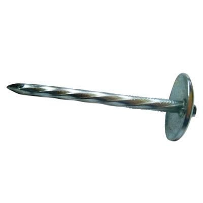 2.5&quot; Galvanized Umbrella Roofing Nail for Roofing