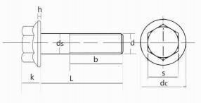 High Quality Carbon Steel Nut DIN6923 Cheap and White