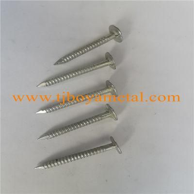 Boya Factory Price Ring Shank Roofing Nails