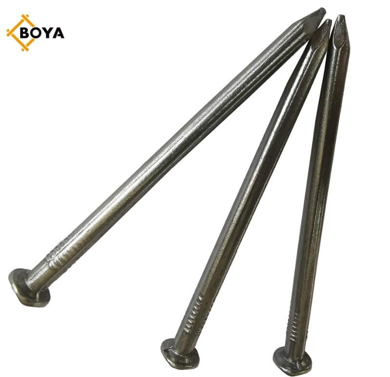 Top Quality Common Nails/Hardware/Galvanized/Hot Dipped Galvanized/Wood Nail for Construction