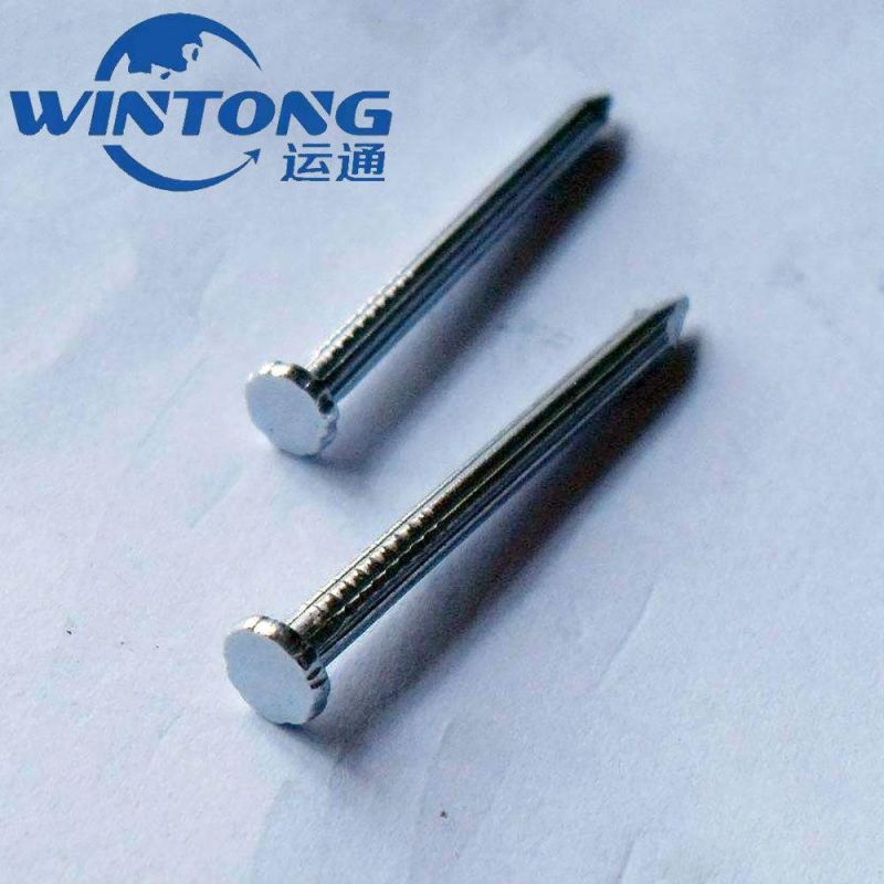 Galvanized Concrete Nails Black Cement Concrete Nails