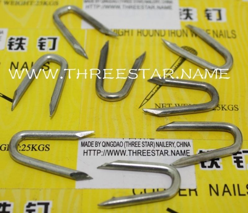 Malaysia Myanmar Thailand Laos Vietnam Philippines Singapore Market/U Type Nails