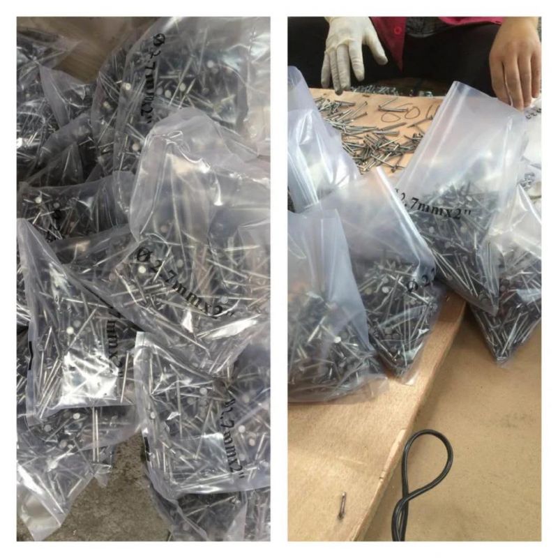 Steel Concrete Nails (2-1/2") with Competitive Prices in China