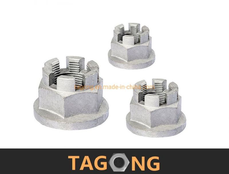 OEM Carbon Special Flange Slotted Nuts