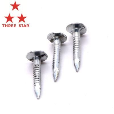 1 Inch High Quality Galvanized Large Flat Head Zinc Coating Iron Clout Nails Roofing Ceiling Nails