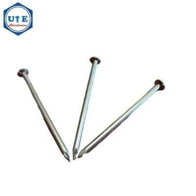 Hot Sale Common Round Nail Iron Wire Nails for Wood Building Construction