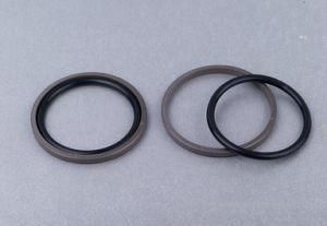 Good Flexible Polytetrafluoroethylene Glyd Ring