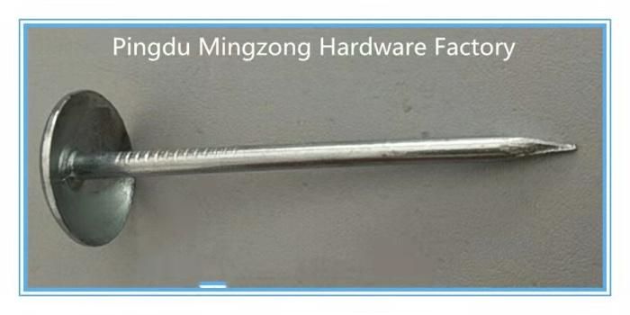ø 3.0*60.2mm Galvanized Roofing Nails with Smooth Shank and Umbrella Head