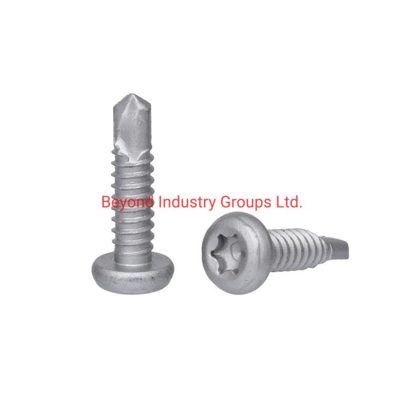 Screw/Bolts/T Bolts T Screw Special Bolts/Fastener