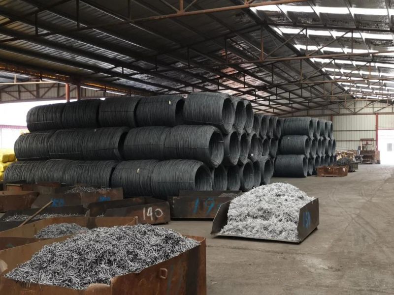 Electro Galvanized Clout Nail with Cheap Price