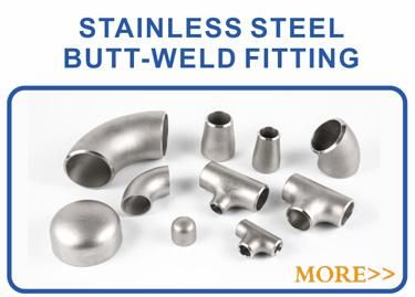 Flange DIN Pn10 Pn16 Plate RF SUS304 316 Stainless Steel