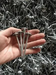 Clavo, Clavos, Nail, Roofing Nail with Smooth Shank, Roofing Nails