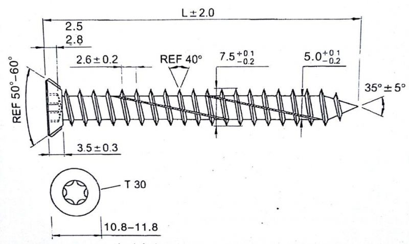 Zinc-Plated Concrete Screws/Torx Socket Screw