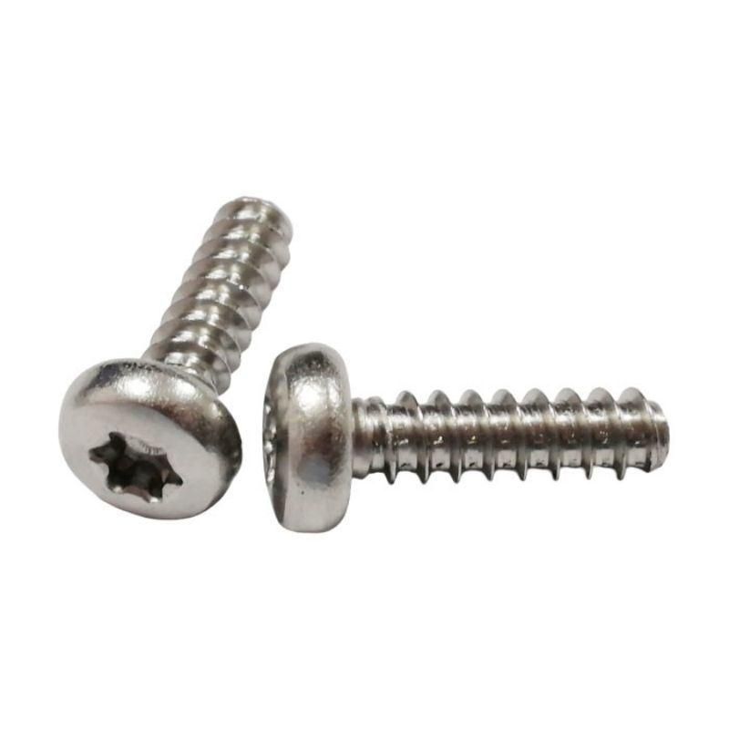 Stainless Steel Wn1412 Pan Torx Head Self Tapping Screws for Plastic